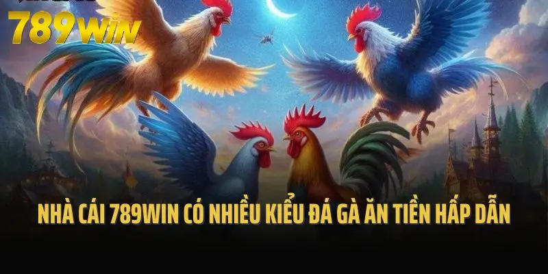 Nhà cái 789win có nhiều kiểu đá gà ăn tiền hấp dẫn