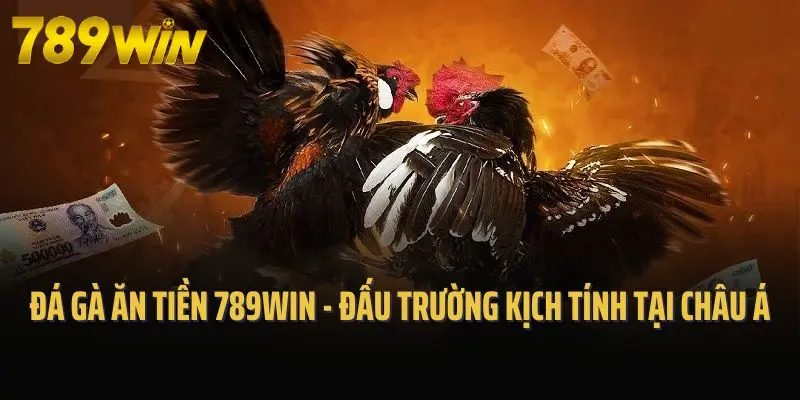 Đá Gà Ăn Tiền 789win - Đấu Trường Kịch Tính, Gay Cấn Tại Châu Á