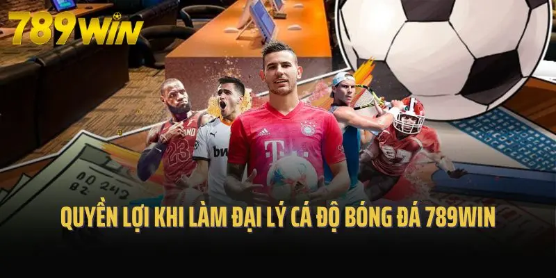 Quyền lợi hấp dẫn khi làm đại lý cá độ bóng đá 789win