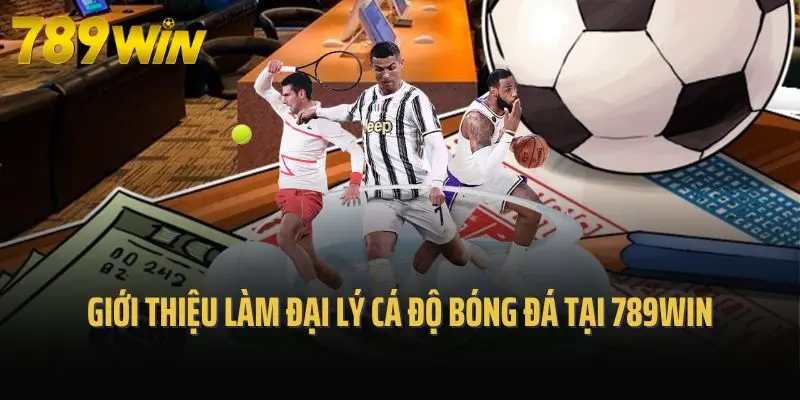 Giới thiệu làm đại lý cá độ bóng đá tại 789win