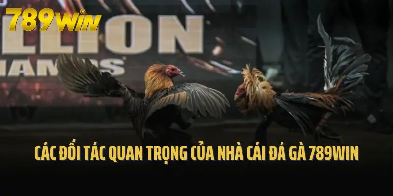 Các đối tác quan trọng của nhà cái đá gà 789win